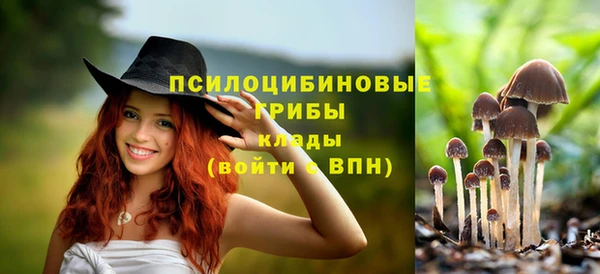 таблы Горнозаводск