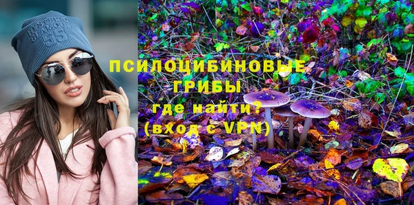 ешки Горно-Алтайск