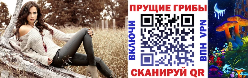 Псилоцибиновые грибы Psilocybine cubensis Коркино